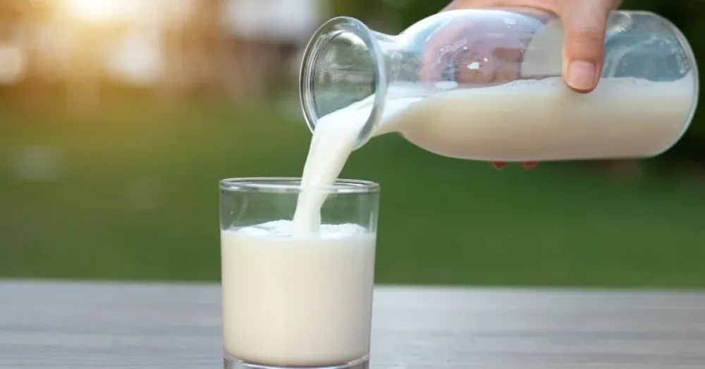 buttermilk substitute for fried chicken, substitute for buttermilk for fried chicken, buttermilk substitute for chicken, substitute for buttermilk in fried chicken, milk and vinegar