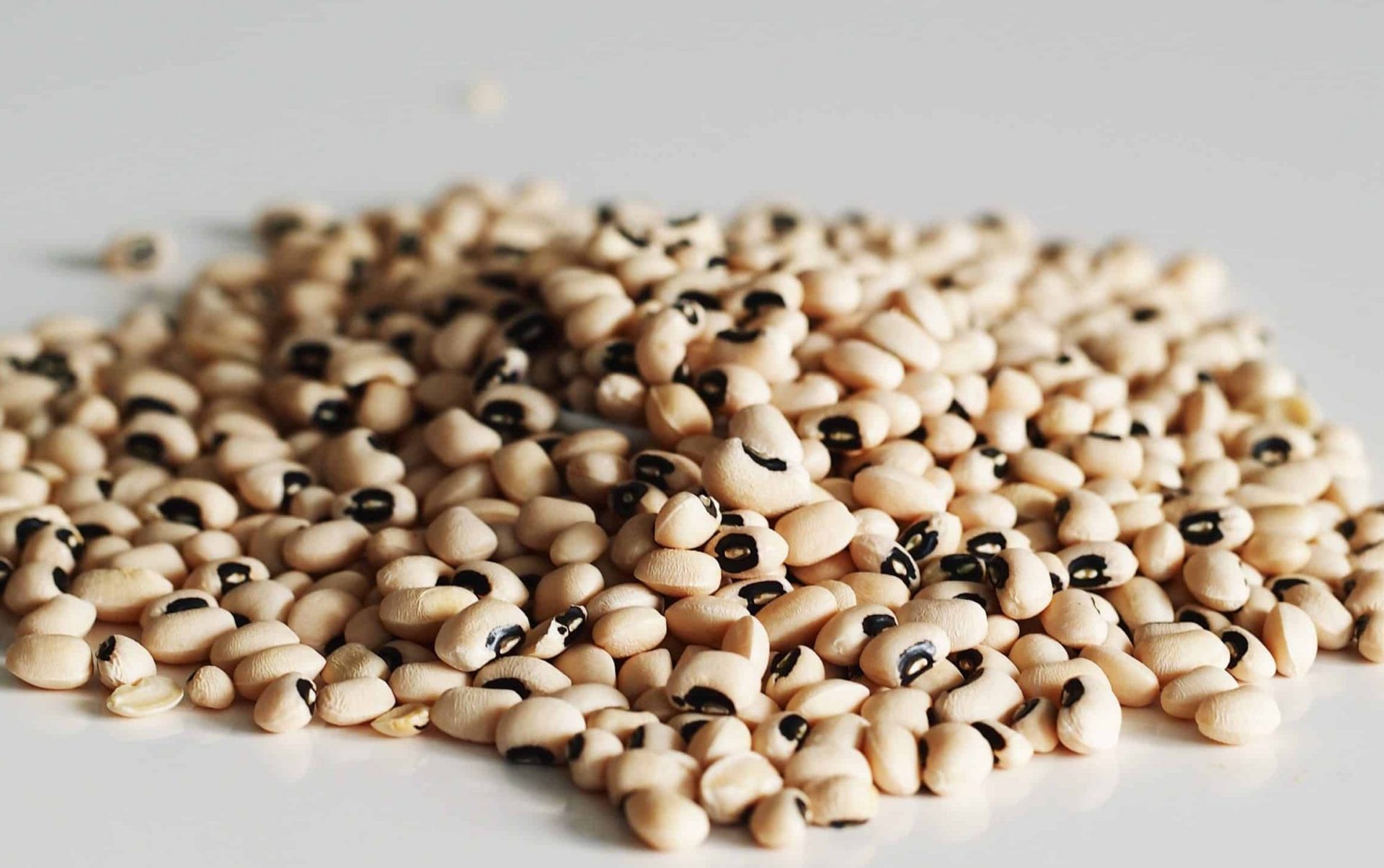 cannellini beans substitute, substitution for cannellini beans, substitute for cannellini beans, cannellini bean substitute, substitute cannellini beans, cannellini beans sub