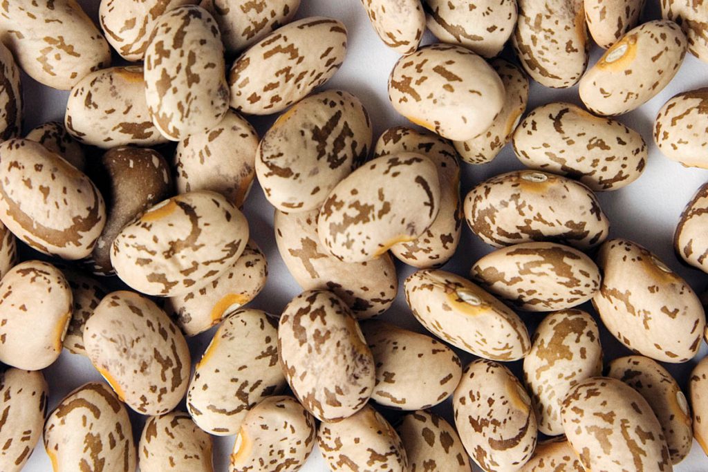 cannellini beans substitute, substitution for cannellini beans, substitute for cannellini beans, cannellini bean substitute, substitute cannellini beans, cannellini beans sub, pinto beans