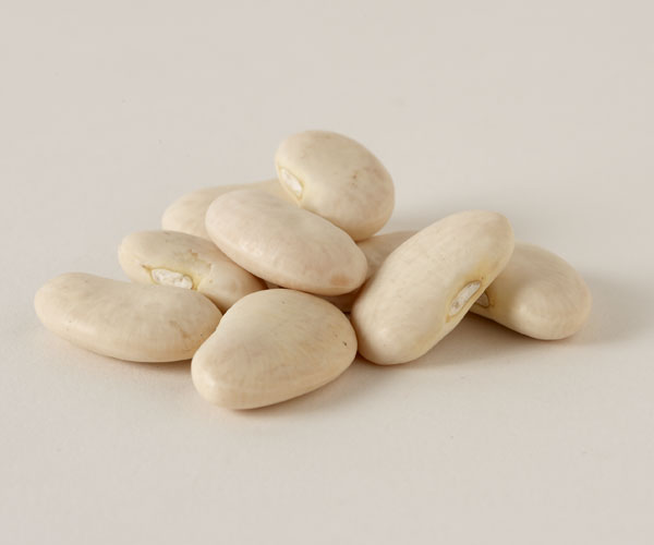 navy bean substitutes, navy beans substitutes, substitute navy beans, substitute for navy beans, substitution for navy beans, butter beans
