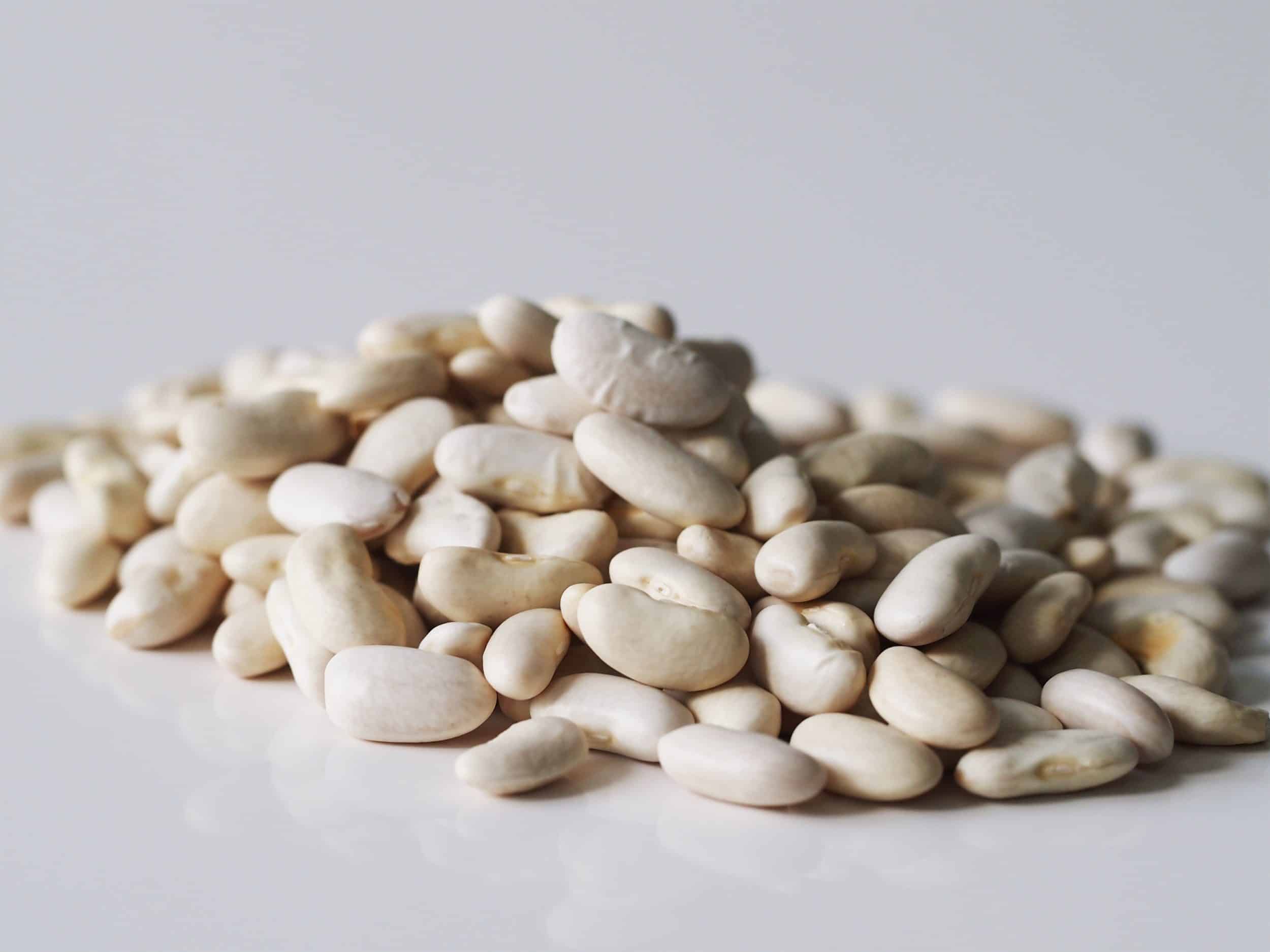 navy bean substitutes, navy beans substitutes, substitute navy beans, substitute for navy beans, substitution for navy beans, cannellini beans