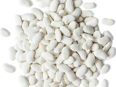 navy bean substitutes, navy beans substitutes, substitute navy beans, substitute for navy beans, substitution for navy beans