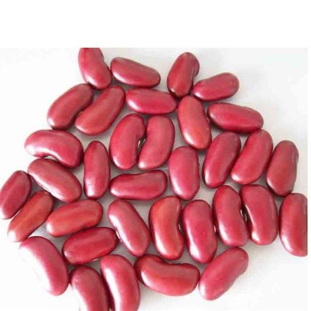 navy bean substitutes, navy beans substitutes, substitute navy beans, substitute for navy beans, substitution for navy beans, red kidney beans