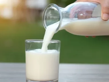 substitute for milk in mashed potatoes, milk substitutes for mashed potatoes, mashed potatoes milk substitute, mashed potato milk substitute