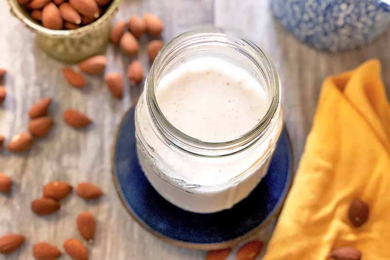substitute for milk in mashed potatoes, milk substitutes for mashed potatoes, mashed potatoes milk substitute, mashed potato milk substitute, almond milk