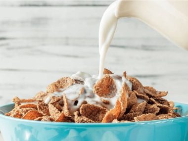 best milk alternative for cereal, milk substitute for cereal, best non dairy milk for cereal, milk alternatives for cereal, best milk substitute for cereal, best vegan milk for cereal