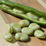 fava bean substitute, fava beans substitute, substitute for fava bean, substitute for fava beans, another name for fava beans, fava beans other names, fava bean replacement