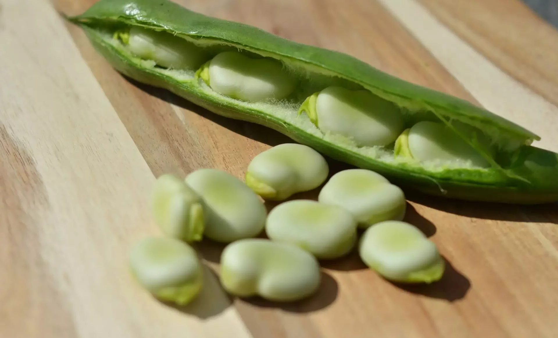 fava bean substitute, fava beans substitute, substitute for fava bean, substitute for fava beans, another name for fava beans, fava beans other names, fava bean replacement