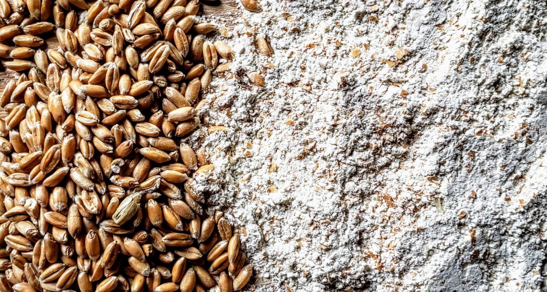 spelt flour substitute, substitute for spelt flour, spelt flour substitution, substitution for spelt flour, substitutes for spelt flour, spelt flour replacement, spelt flour substitutes
