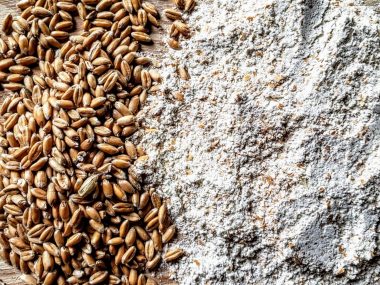 spelt flour substitute, substitute for spelt flour, spelt flour substitution, substitution for spelt flour, substitutes for spelt flour, spelt flour replacement, spelt flour substitutes