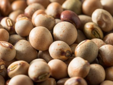 substitute for pigeon peas, substitute for peas, pigeon peas substitute