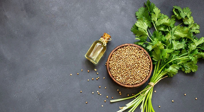 dry cilantro vs fresh, fresh vs dried cilantro, cilantro dried vs fresh, cilantro fresh vs dried, dried cilantro vs fresh