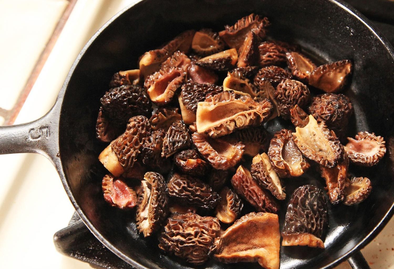 morel mushrooms