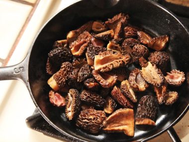 morel mushrooms