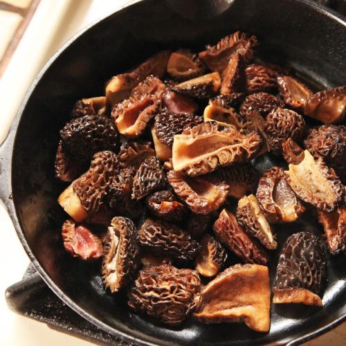 morel mushrooms